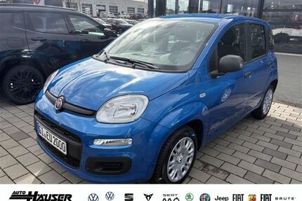 Fiat Panda Gebrauchtwagen