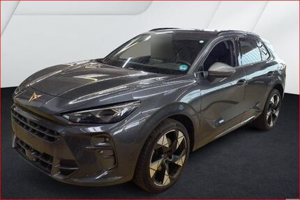 Cupra Terramar Gebrauchtwagen