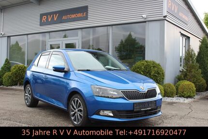 Skoda Fabia Gebrauchtwagen