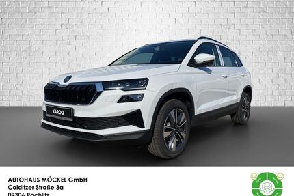 Skoda Karoq Gebrauchtwagen