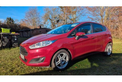 Ford Fiesta Gebrauchtwagen