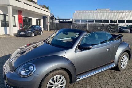 VW Beetle Gebrauchtwagen