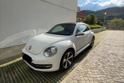 VW Beetle Gebrauchtwagen