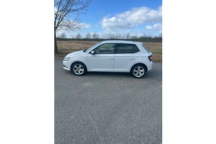 Skoda Fabia Gebrauchtwagen