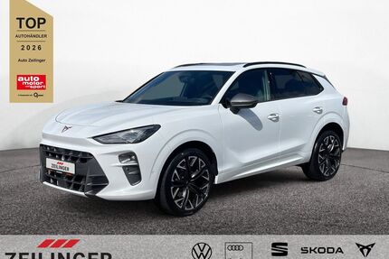 Cupra Terramar Gebrauchtwagen