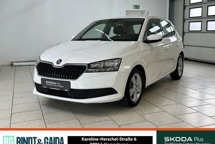 Skoda Fabia Gebrauchtwagen