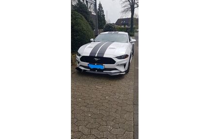 Ford Mustang Gebrauchtwagen