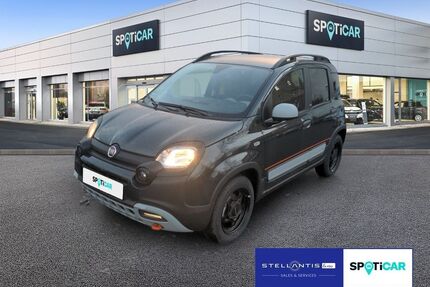 Fiat Panda Gebrauchtwagen