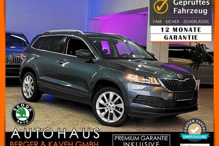 Skoda Karoq Gebrauchtwagen