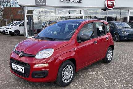 Fiat Panda Gebrauchtwagen