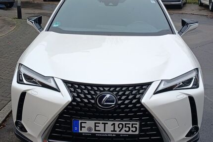 Lexus UX Gebrauchtwagen