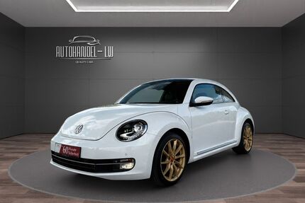 VW Beetle Gebrauchtwagen