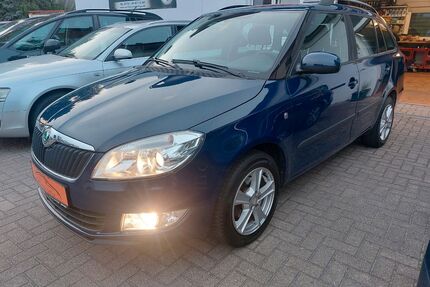 Skoda Fabia Gebrauchtwagen