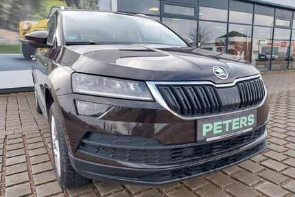 Skoda Karoq Gebrauchtwagen