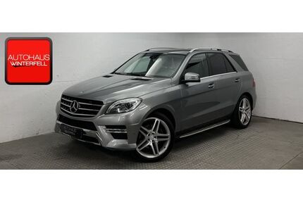Mercedes-Benz ML 250 Gebrauchtwagen