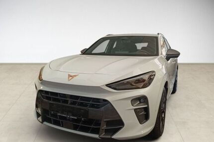 Cupra Terramar Gebrauchtwagen