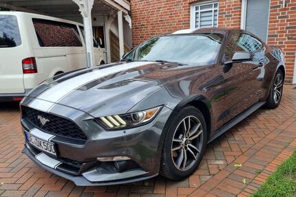 Ford Mustang Gebrauchtwagen