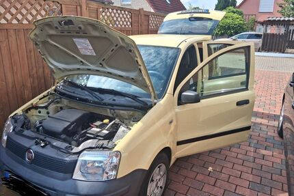 Fiat Panda Gebrauchtwagen
