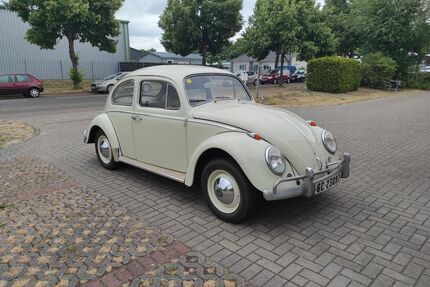 VW Käfer Gebrauchtwagen