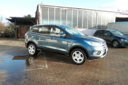 Ford Kuga Gebrauchtwagen
