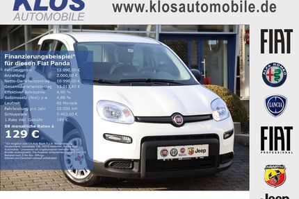 Fiat Panda Gebrauchtwagen