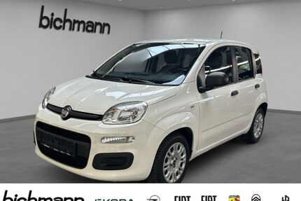 Fiat Panda Gebrauchtwagen