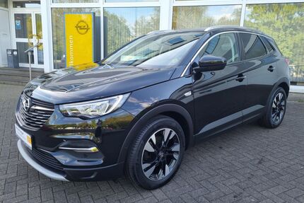 Opel Grandland (X) Gebrauchtwagen