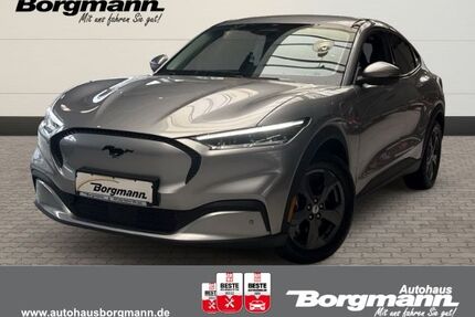Ford Mustang Mach-E Gebrauchtwagen