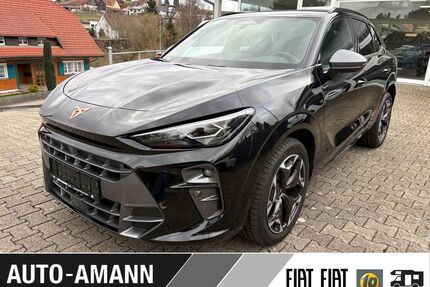 Cupra Terramar Gebrauchtwagen