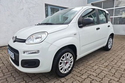 Fiat Panda Gebrauchtwagen