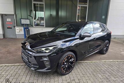 Cupra Terramar Gebrauchtwagen