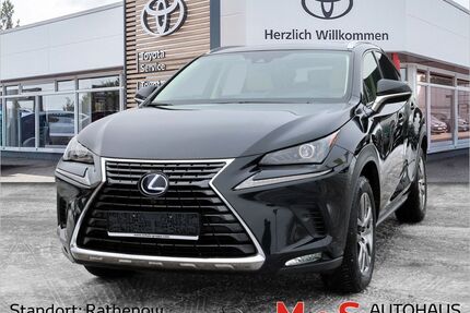 Lexus NX 300 Gebrauchtwagen