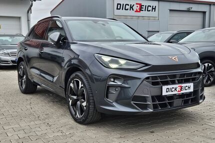 Cupra Terramar Gebrauchtwagen