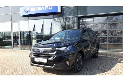 Subaru Forester Gebrauchtwagen