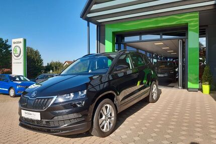 Skoda Karoq Gebrauchtwagen