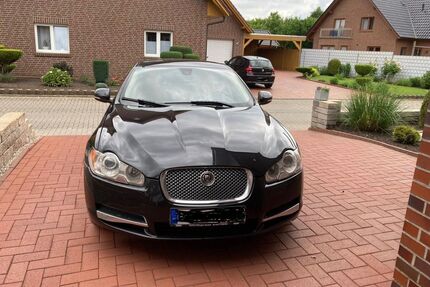 Jaguar XF Gebrauchtwagen