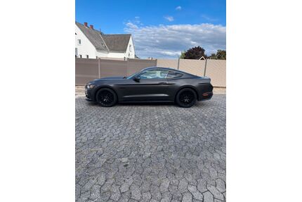 Ford Mustang Gebrauchtwagen