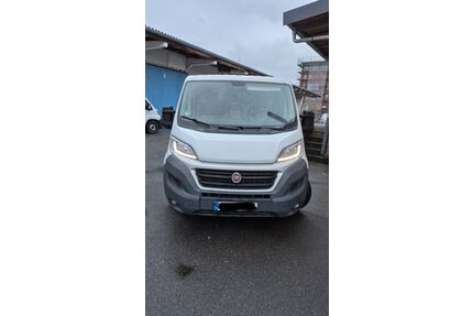 Fiat Ducato Gebrauchtwagen