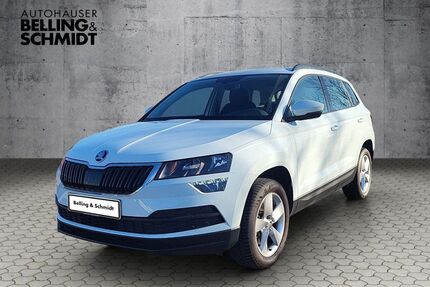 Skoda Karoq Gebrauchtwagen