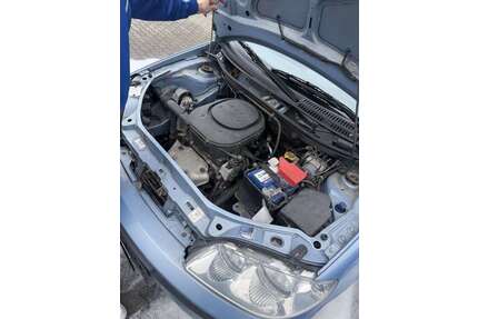 Fiat Punto Gebrauchtwagen