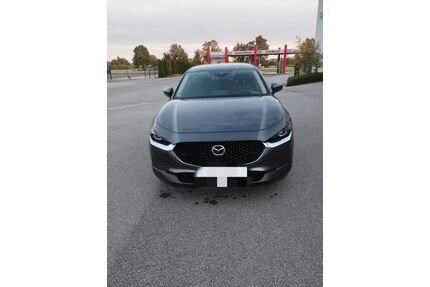 Mazda CX-30 Gebrauchtwagen