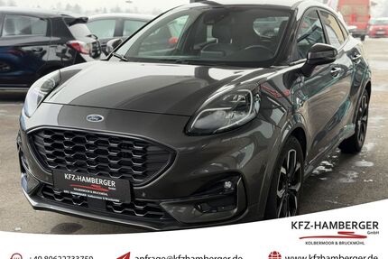 Ford Puma Gebrauchtwagen