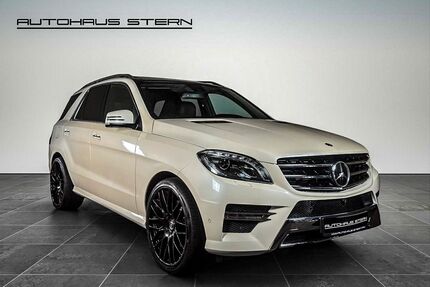 Mercedes-Benz ML 500 Gebrauchtwagen