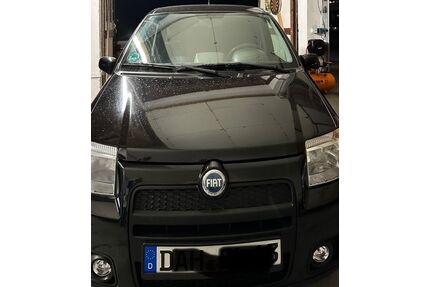 Fiat Panda Gebrauchtwagen