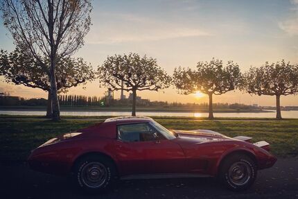 Corvette C3 Gebrauchtwagen