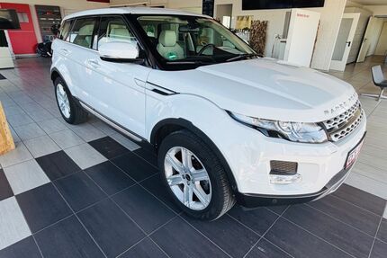 Land Rover Range Rover Evoque Gebrauchtwagen