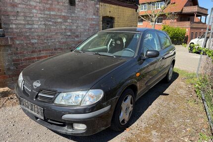 Nissan Almera Gebrauchtwagen