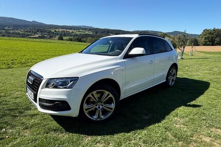 Audi Q5 Gebrauchtwagen