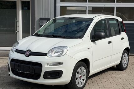 Fiat Panda Gebrauchtwagen