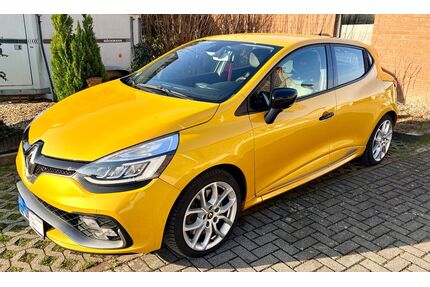 Renault Clio Gebrauchtwagen